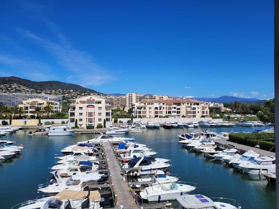 Ginkgo Studio - Piscine, Proche De La Mer, Golf, Wifi Мандельё-ла-Напуль Экстерьер фото